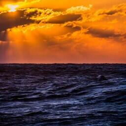 Губернаторы призывают тщательно подойти к перспективам рыбной отрасли. Фото предоставлено РК «Восток-1»