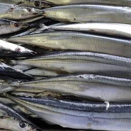 Сайру в консервах стали часто подменять более дешевой рыбой