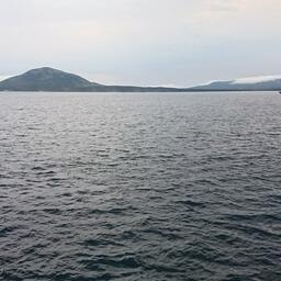 Планируется установить обязательное предварительное согласование сделок по предоставлению прав на вылов обществу, находящемуся под контролем иностранного инвестора