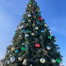 И конечно, главный символ Нового года от Маргариты Крючковой