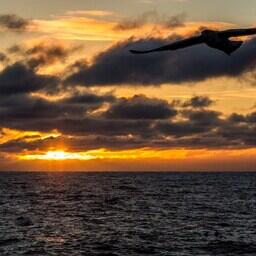 Рассвет в Охотском море. Фото предоставлено РК «Восток-1»