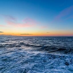 Минсельхоз России представил для обсуждения проект поправок в правила рыболовства для Дальневосточного бассейна. Фото предоставлено компанией «Антей»