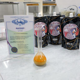 Специалисты АГТУ разработали линейку соусов из чешуи толстолобика. Фото пресс-службы университета