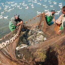 Рыбакам Астраханской области предстоит срочная перерегистрация судов. Фото пресс-службы администрации губернатора