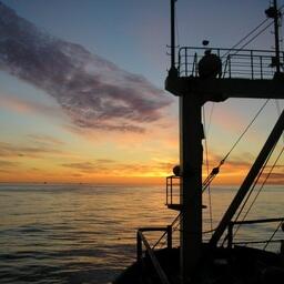 Министерство сельского хозяйства продолжает подготовку документов для реализации изменений Налогового кодекса по сбору за пользование водными биоресурсами