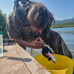 Специалисты взяли пробы для генетических исследований. Фото Николая Мельника