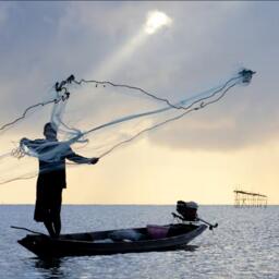 Африканский рыбак. Фото с портала Shutterstock