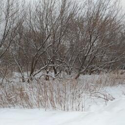Раньше здесь были дома