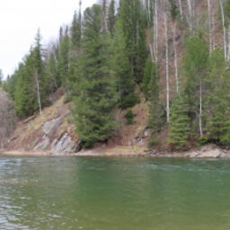 Специалисты Новосибирского филиала ВНИРО исследовали характеристики промысловых рыб реки Томь и ее притоков. Фото пресс-службы института