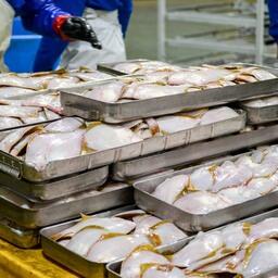 Под строительство береговых заводов за компаниями закрепили в том числе квоты камбал. Фото предоставлено «Витязь-Авто»