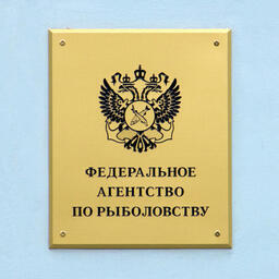 Росрыболовство намерено 28 и 29 июля провести торги по продаже долей квот для промысла в Западном, Дальневосточном бассейнах и районах действия международных договоров