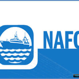 Организация по рыболовству в северо-западной части Атлантического океана (НАФО) создана в 1979 году
