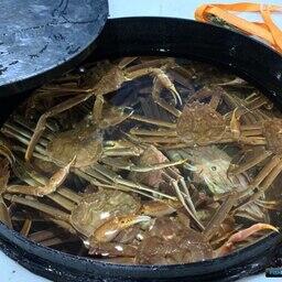 «Колд Трейд» довел работу до нулевой гибели крабов в пути. Фото предоставлено компанией 