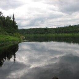 Река Бахта в июле. Фото Remulazz («Википедия»)