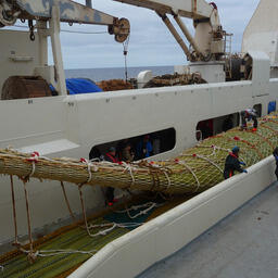 В этом году российские траулеры полностью выбрали национальную квоту. Фото пресс-службы АтлантНИРО