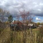 Дома Преображенки граничат с дикой тайгой