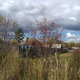 Дома Преображенки граничат с дикой тайгой