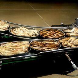 Производство консервов в Рыболовецком колхозе «За Родину»