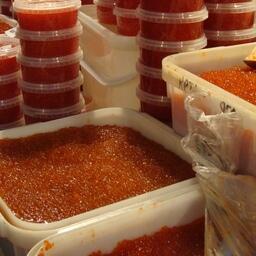 Законопроект по борьбе с авиаканалом доставки браконьерской икры Госдума рассмотрит уже в эту сессию