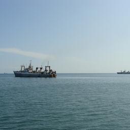 Возможности электронной системы исполнения государственных услуг Росрыболовства (СИГУР) планируют расширить