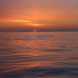 АСРФ предложила свои поправки к законопроекту о втором этапе