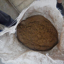 В Алтайском крае пресечена контрабанда артемии. Фото пресс-службы региональной таможни