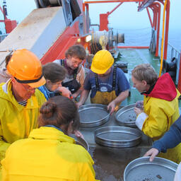 Ученые разбирают пробы, поднятые со дна желоба бокс-корером и эпибентосным слэджем. Фото пресс-службы Минобрнауки