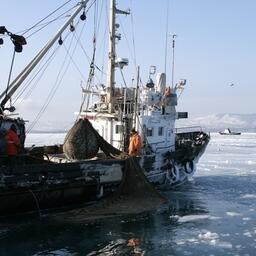 Рыбаки могут оценить новый вариант изменений правил для Дальнего Востока