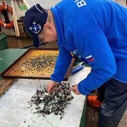 Исследование собранных гидробионтов. Фото пресс-службы КамчатНИРО