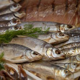 Коллегия Евразийской экономической комиссии утвердила актуализированные перечни стандартов к техрегламенту о безопасности рыбы и рыбной продукции