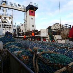 Промысел минтая на Дальнем Востоке. Фото предоставлено пресс-службой «Океанрыбфлота»