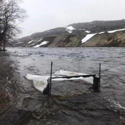 Сотрудники Полярного филиала ВНИРО проводят ихтиологические исследования на реках Мурманской области. Фото пресс-службы института
