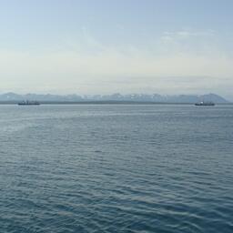 Со следующего года начнут действовать законодательные положения об электронных разрешениях на вылов