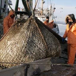Рыбный промысел у берегов Сахалина