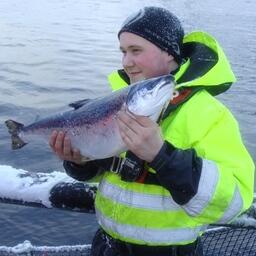 Лосось на норвежской акваферме