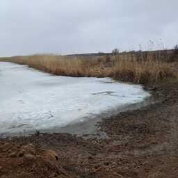 В Астрахани завершаются работы по созданию электронной базы данных ильменей в дельте Волги. Фото пресс-службы правительства области