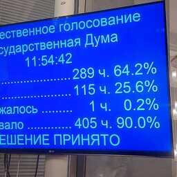 Закон был принят большинством голосов