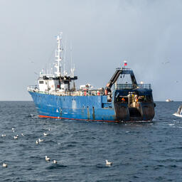 Заявиться на промысел можно с помощью портала госуслуг