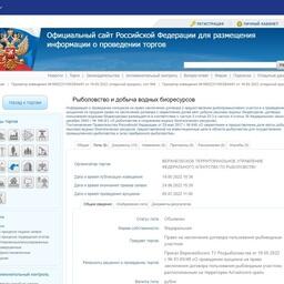 Шесть озер в Алтайском крае выставлены на торги в качестве РВУ