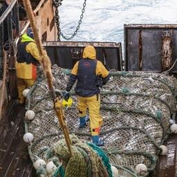 Предприятия Северного бассейна добывают в районах действия международных соглашений более 400 тыс. тонн рыбы, в частности, трески и пикши. Фото предоставлено АТФ