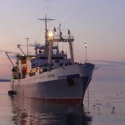 В правилах выдачи разрешений на вылов отразится переход заявок и разрешений в электронный формат