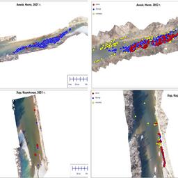 Ортофотопланы с нерестилищ осенней кеты. Иллюстрация с сайта ХабаровскНИРО