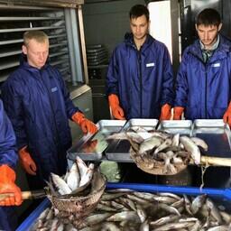 На Ямале стартовала летняя путина. Фото пресс-службы правительства ЯНАО