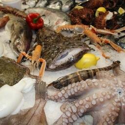 Отраслевые объединения инициировали исследование, посвященное нормированию мышьяка в рыбопродукции