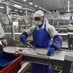 Переработка минтая на Дальнем Востоке