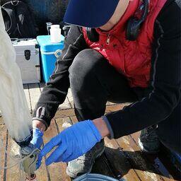 Гидробиологи Камчатского филиала ВНИРО (КамчатНИРО) взяли пробы в Авачинской губе. Фото пресс-службы филиала