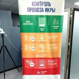 Контроль вывоза икры действует в аэропорту Камчатки с ноября