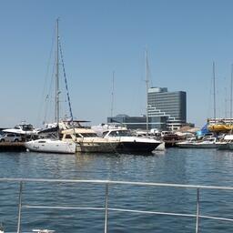 Яхты, парусники и другие прогулочные суда не должны быть разносчиками инвазивных видов