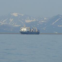 Минсельхоз представил проект поправок в правила рыболовства для Дальневосточного бассейна