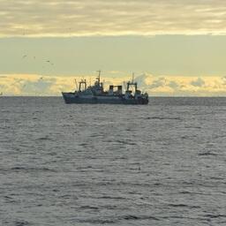 Минсельхоз утвердил требования к содержанию и формам рыболовного журнала, а также порядок его ведения